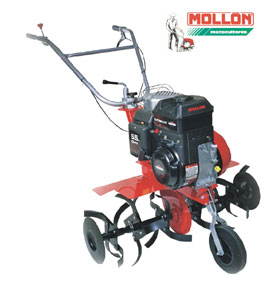 Mollon MC INTEK