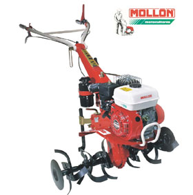 Mollon 1500 85